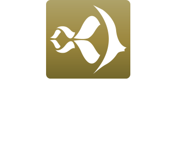 Infinty Aquarium Design Logo 