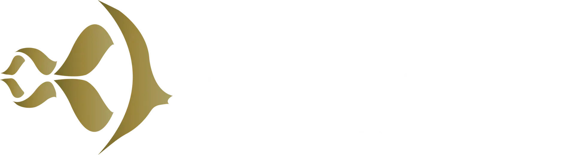 Custom Aquarium Design & Installation