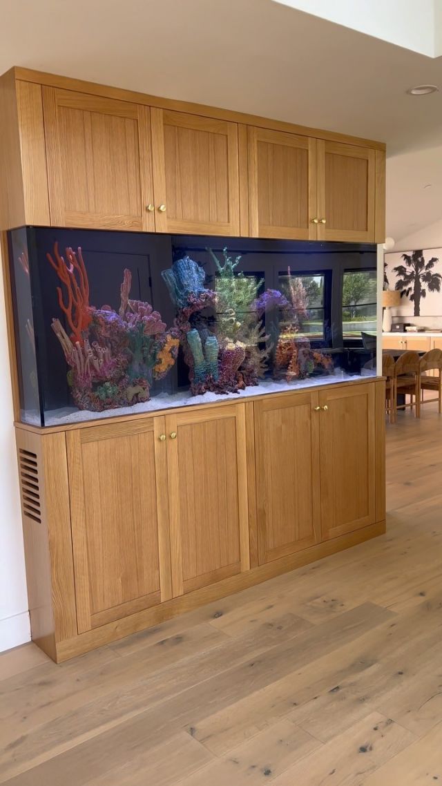 Custom Aquarium Design & Installation